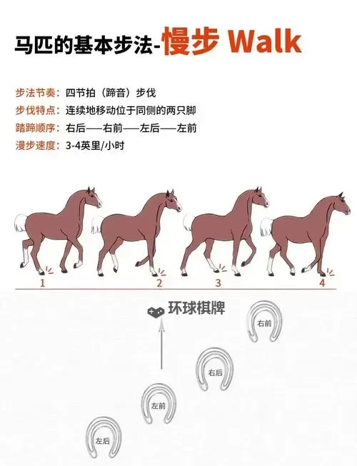跑马圈地怎么双开、多开？跑马圈地双开助手工具下载安装教程图1