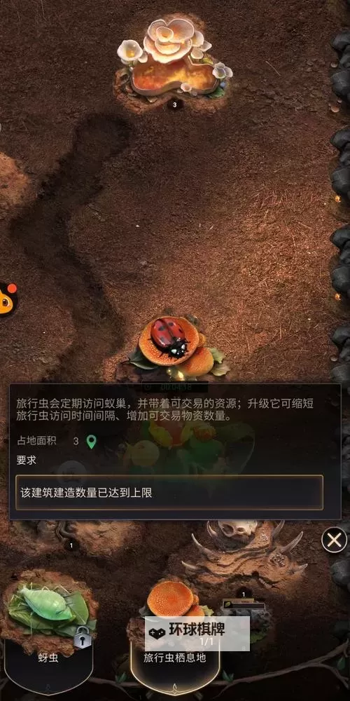 《小小蚁国》兑换码 小小蚁国CDK礼包免费领取(有效期截止2025年12月)图1