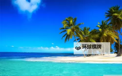 有没有脑洞大大大双开软件推荐 深度解答如何双开脑洞大大大图1